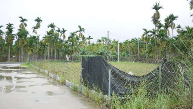 內埔龍泉酒廠休閒農地