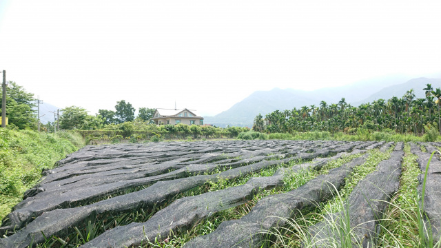 內埔隘寮歐洲別墅區農地