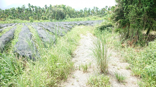 內埔隘寮歐洲別墅區農地