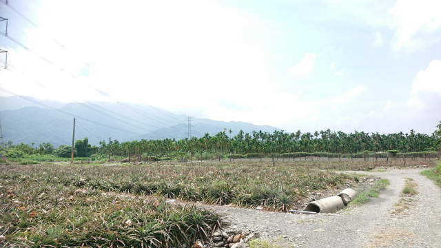 內埔隘寮歐洲特區大面寬農地