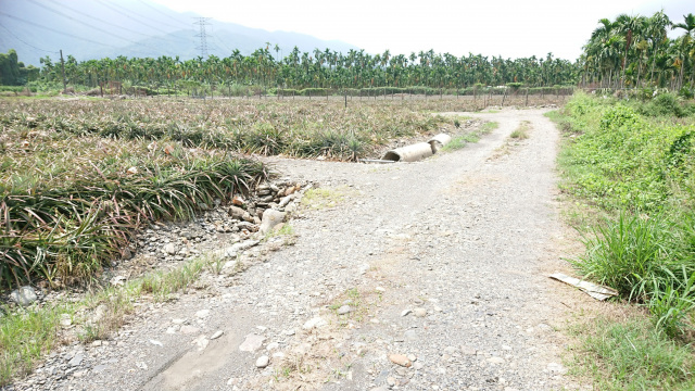 內埔隘寮歐洲特區大面寬農地