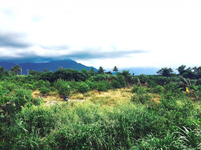 高樹泰和雙面路農地