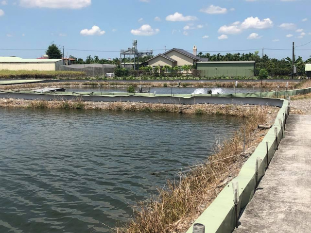 鹽埔新圍魚池農地