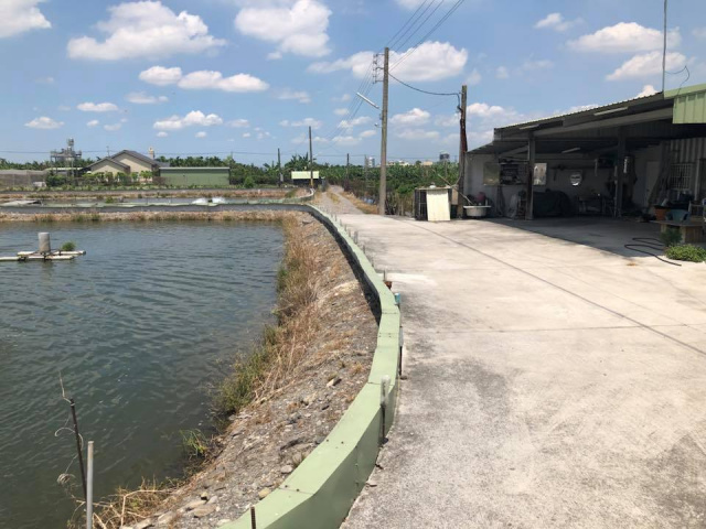 鹽埔新圍魚池農地