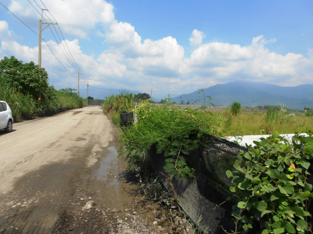 高樹大路邊面寬農地