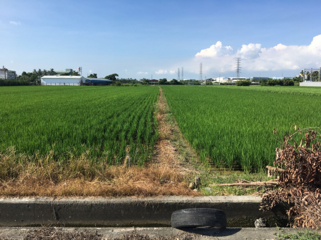 頭前溪重劃農地