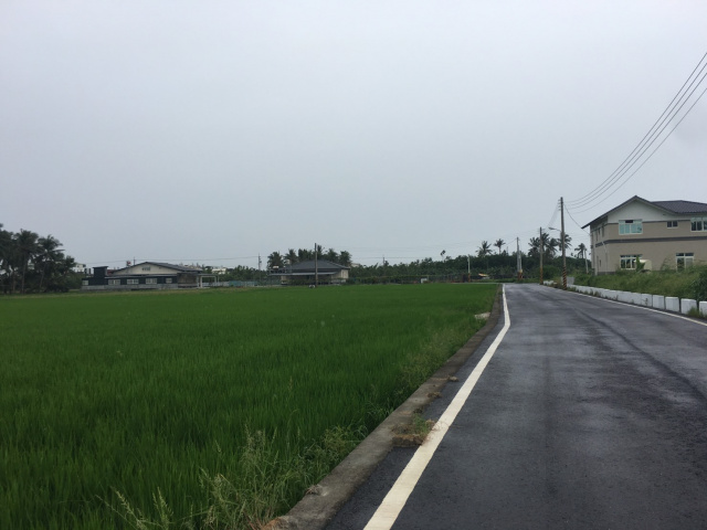 海豐水稻田淨園農地