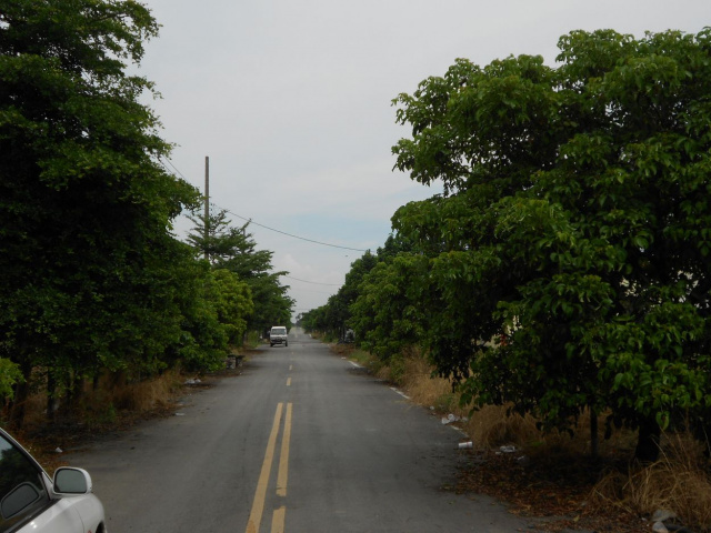 萬丹四維大路邊農地