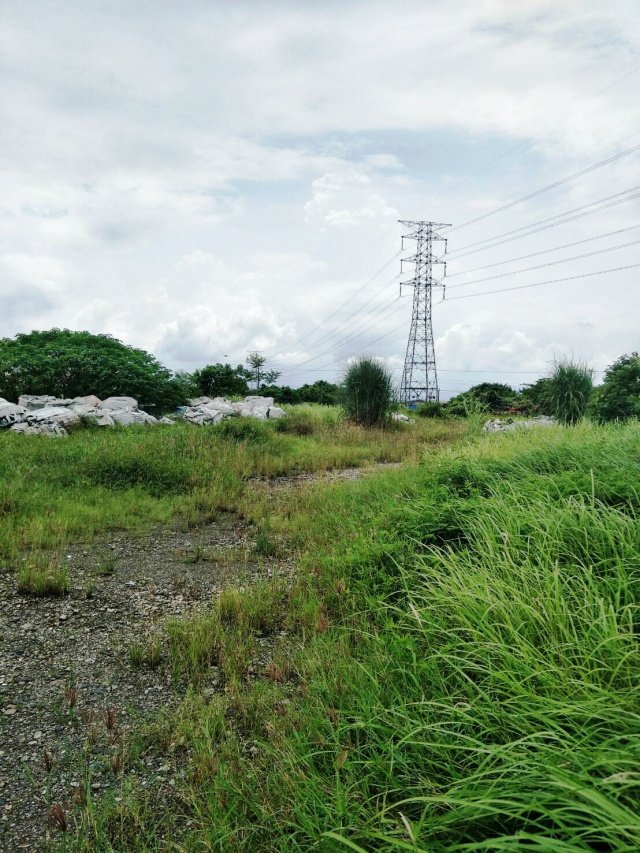 萬丹萬新路方正農地