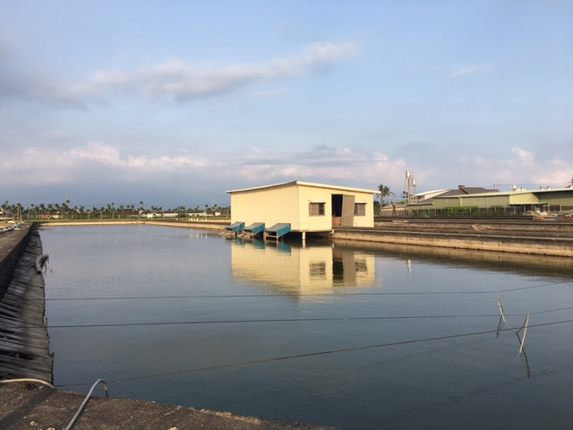 屏市鱸魚池農地