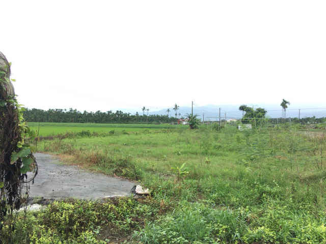 頂宅綠油油農地