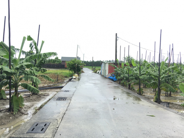 頂宅綠油油農地