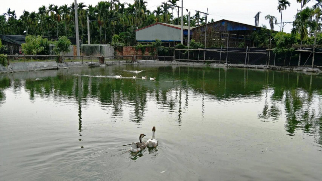 內埔魚池農舍農地