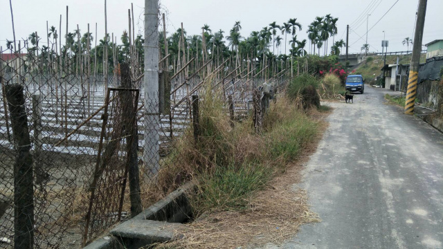 竹田大學路旁面寬農地