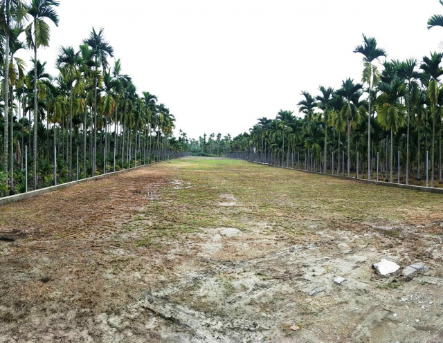 竹田永豐免填土農地