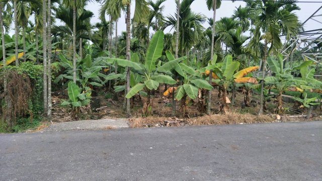 竹田西勢火車站高塔農地