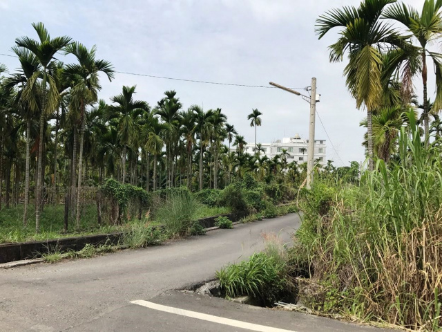 鄉村庄內農地+建地