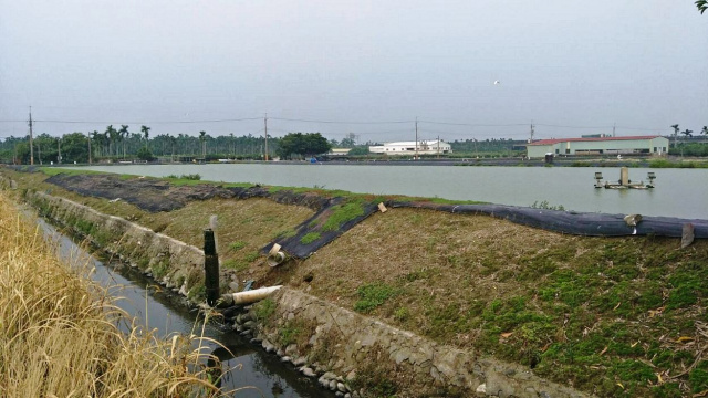 竹田雙面路蝦池農地