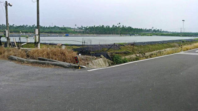 竹田雙面路蝦池農地