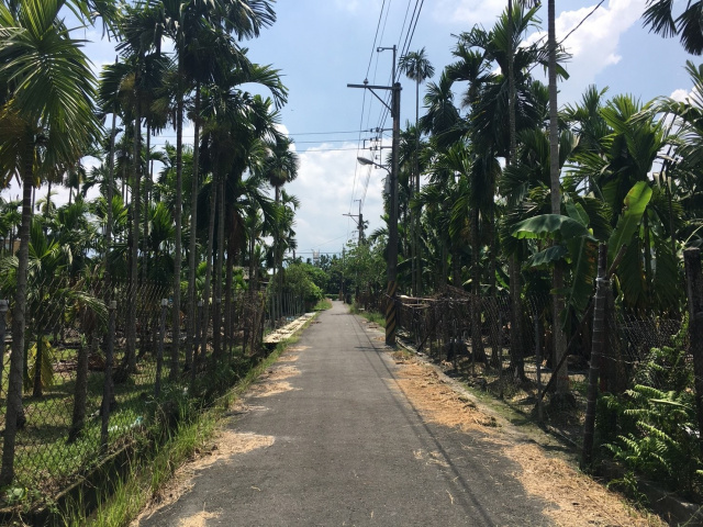 竹田面寬方正農地