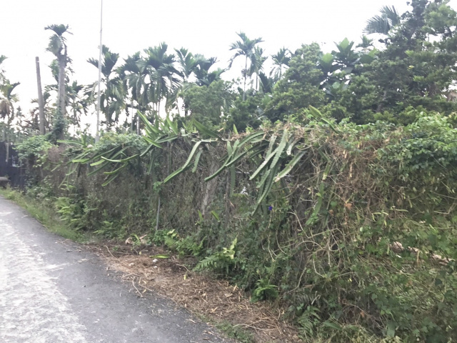 西勢火車站方正農地