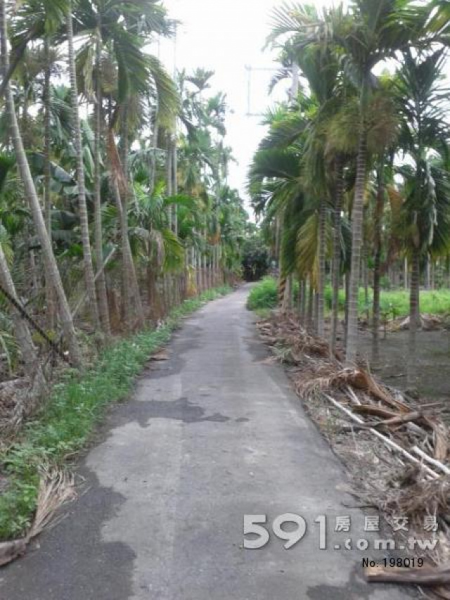 南州合法交流道農地