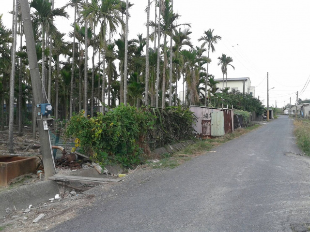 萬丹大學路優美檳榔農地