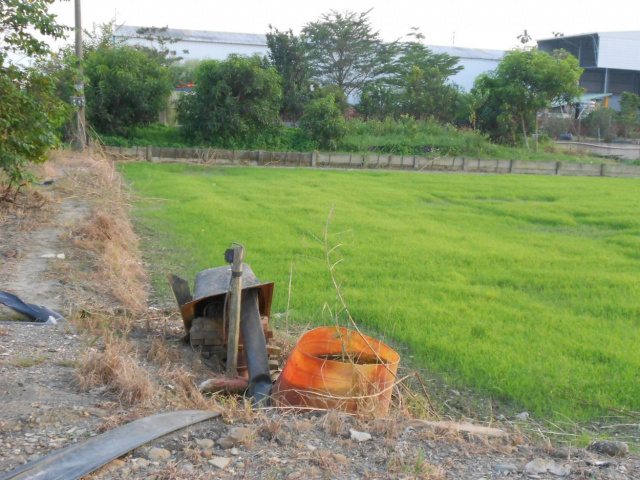 鄉村農地