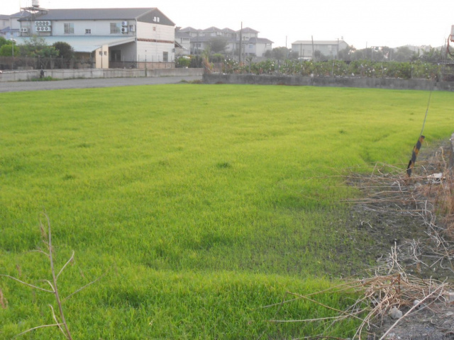 鄉村農地