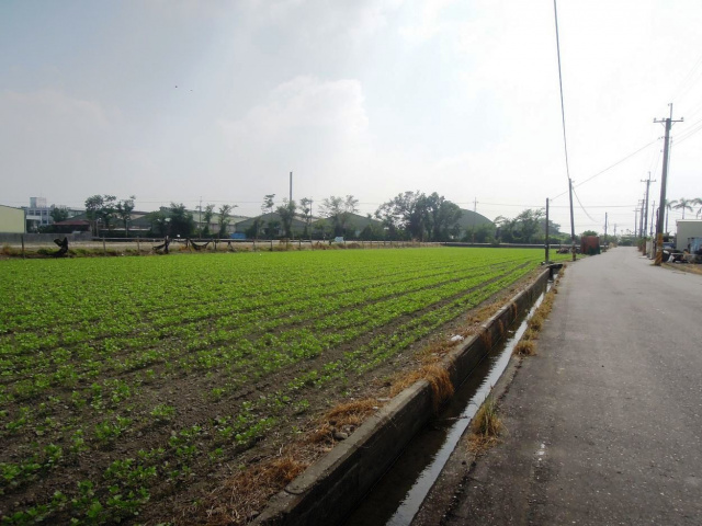 萬丹大學路三角窗農地