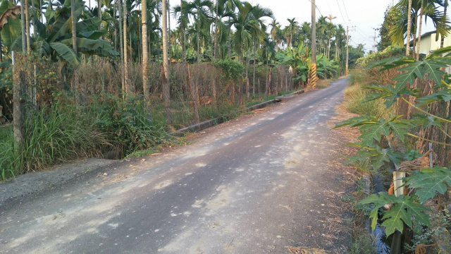 竹田大學路旁前後路農地