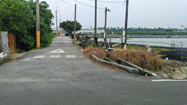 竹田雙面路蝦池農地