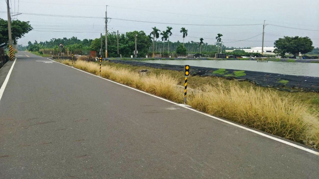 竹田雙面路蝦池農地