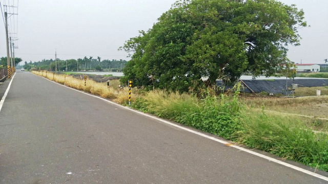 竹田雙面路蝦池農地