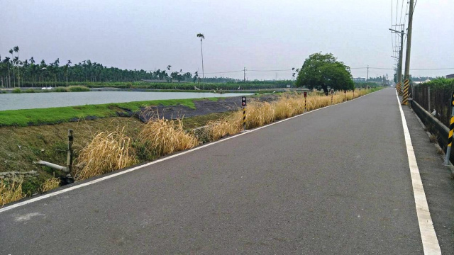 竹田雙面路蝦池農地