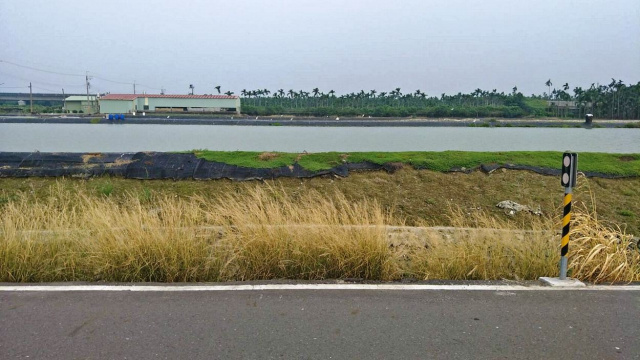 竹田雙面路蝦池農地