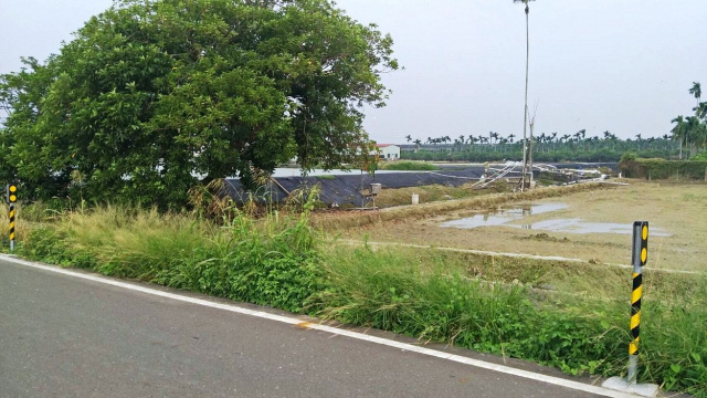 竹田雙面路蝦池農地