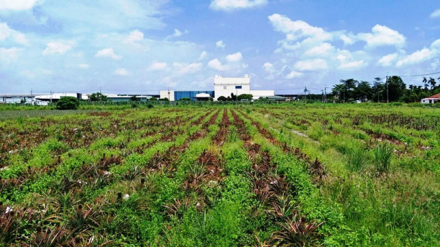 長治近客家文化園區四方農地