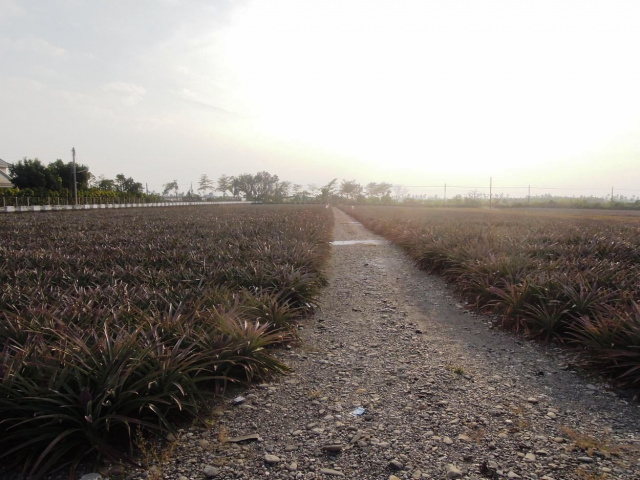 長治近客家園區農地