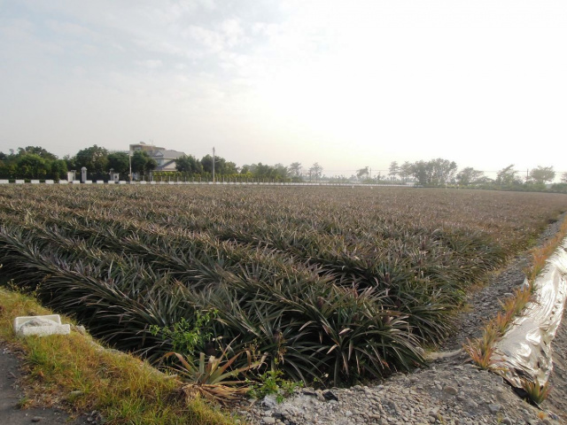 長治近客家園區農地