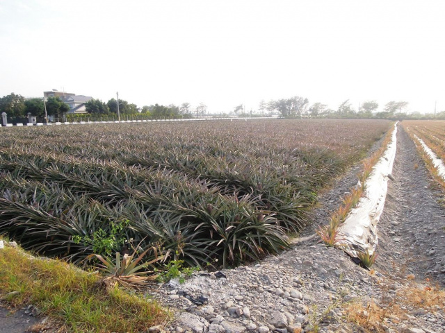 長治近客家園區農地