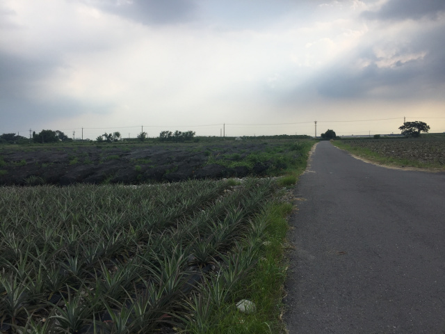 大同農場 大愛村