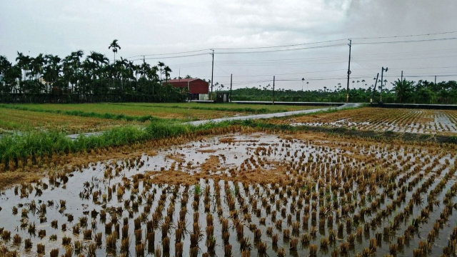 崁頂農加建地