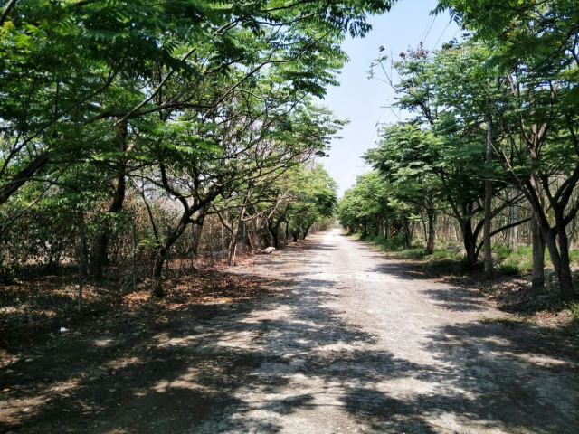 高樹天氣晴合法農舍二