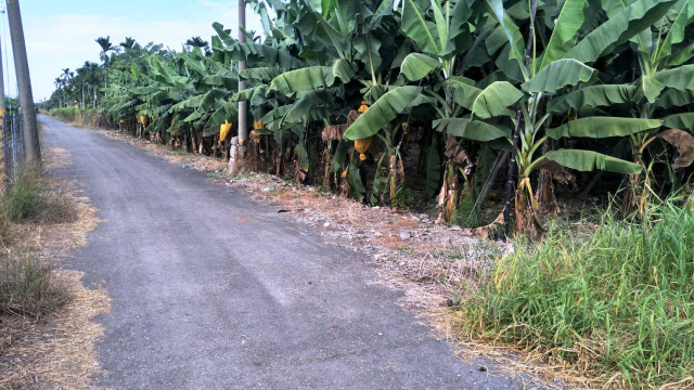 新埤沿山景美方正農地