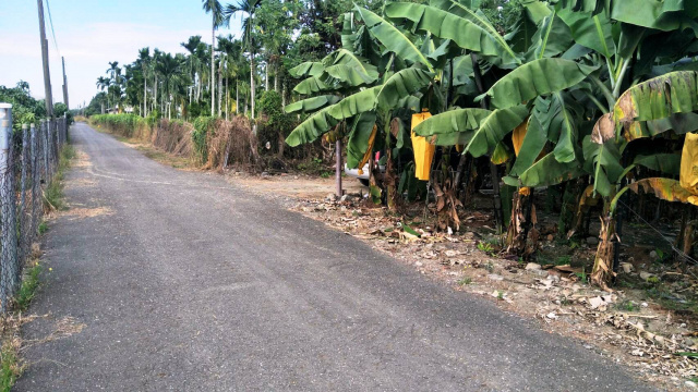 新埤沿山景美方正農地