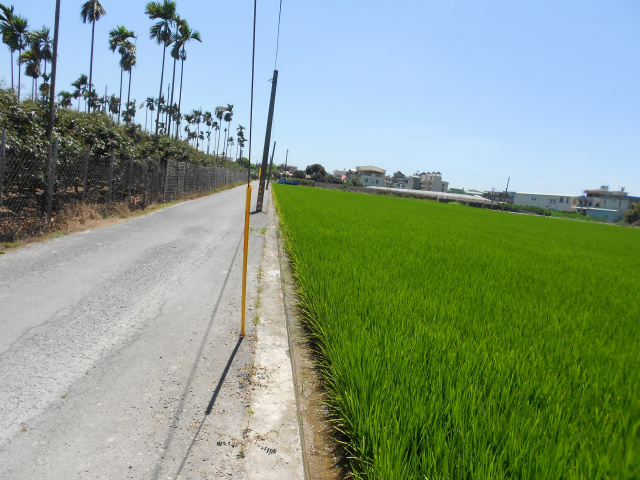 萬丹雙面路農地