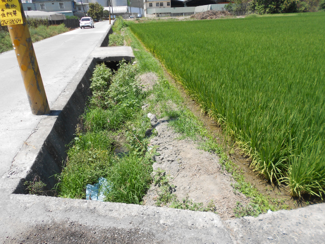 萬丹雙面路農地