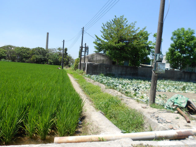 萬丹雙面路農地