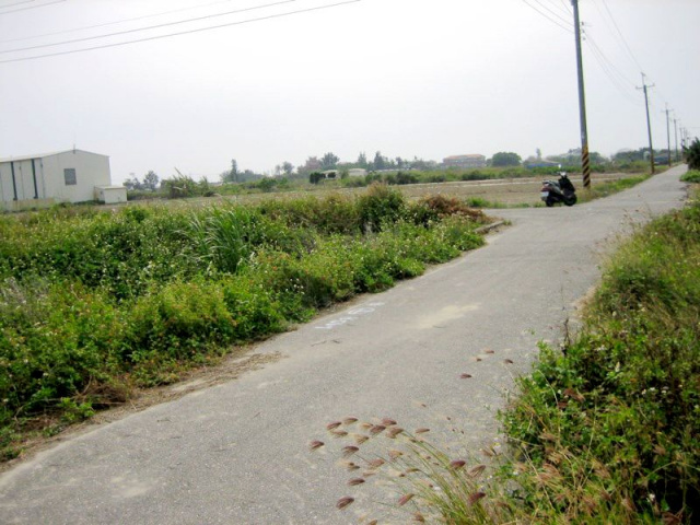 將軍漚汪西甲小段田地